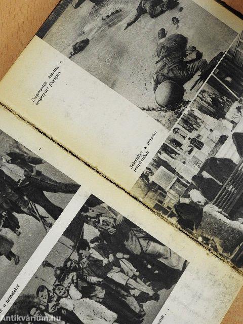 A berchtesgadeni sasfészektől a berlini bunkerig