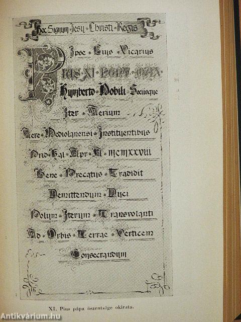 Az »Italia« északsarki utja