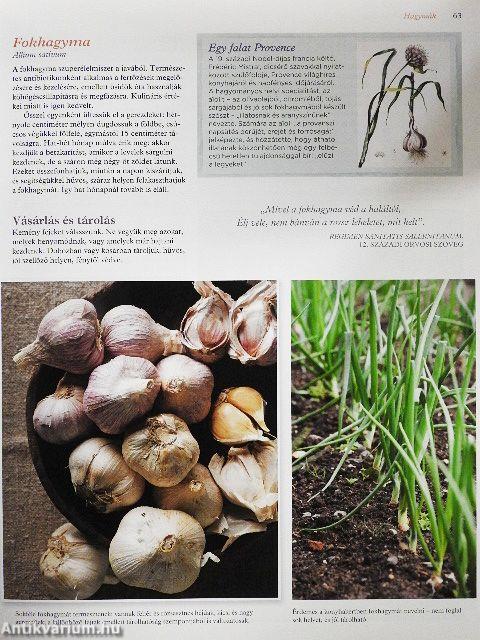 Zöldségek nagykönyve