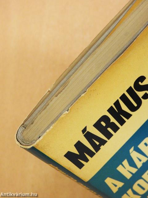 A Károlyi Gyula-kormány bel- és külpolitikája (dedikált példány)