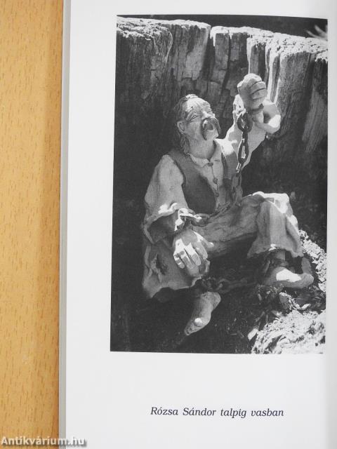 Szobortermő szülőföld (dedikált példány)