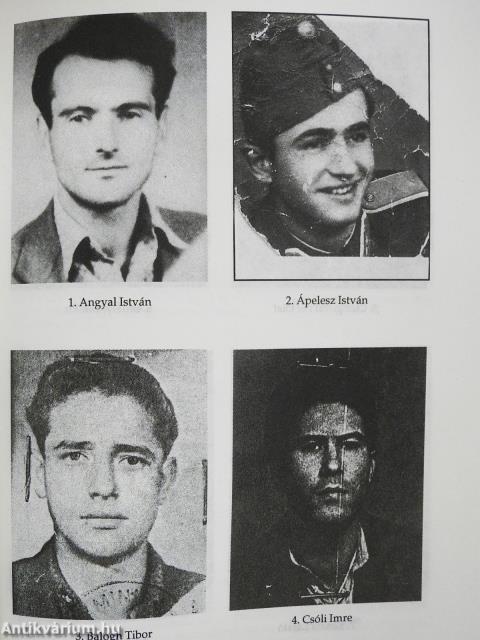 A Tűzoltó utcai fegyveres csoport a forradalomban (aláírt példány)