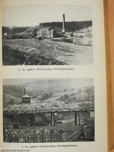 A pécsvidéki kőszénbányászat története (dedikált példány)
