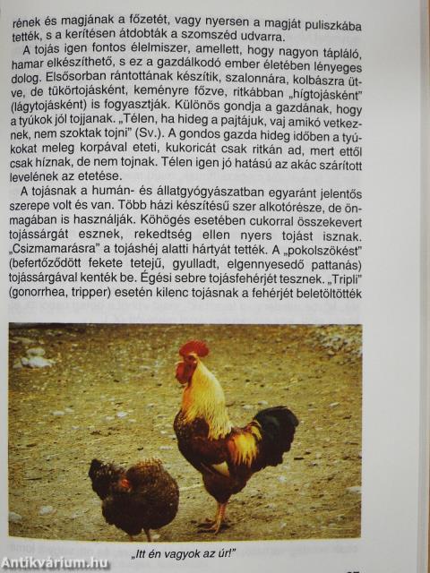 Háziállataink dicsérete (dedikált példány)