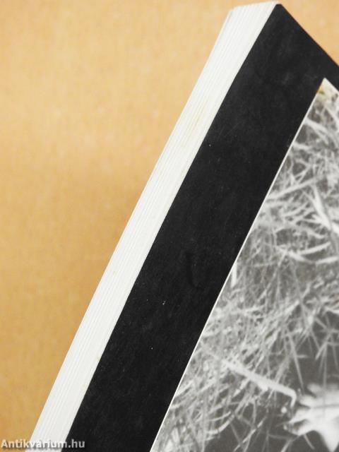 Gályamódosítás (dedikált példány)