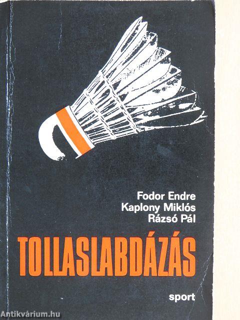 Tollaslabdázás