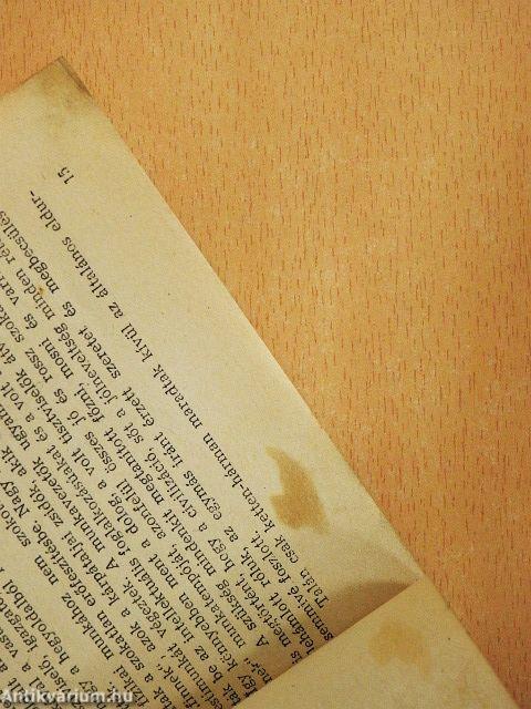 A bori halálút regénye