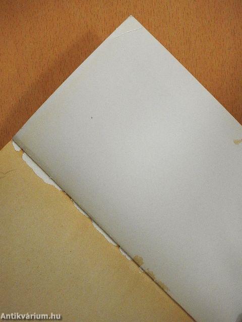 A jövő történelme