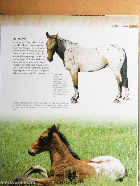 Lovak képes enciklopédiája