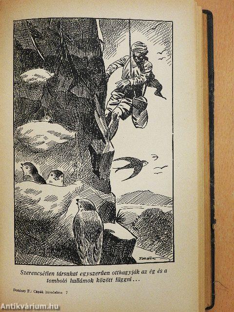 Tengereken innen, tengereken túl