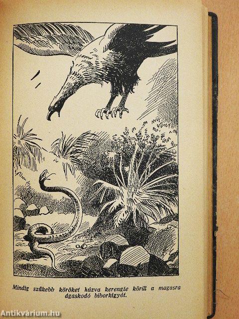 Tengereken innen, tengereken túl