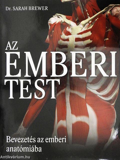 Az emberi test