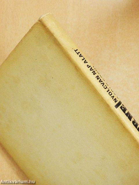 Nyolcvan nap alatt a föld körül