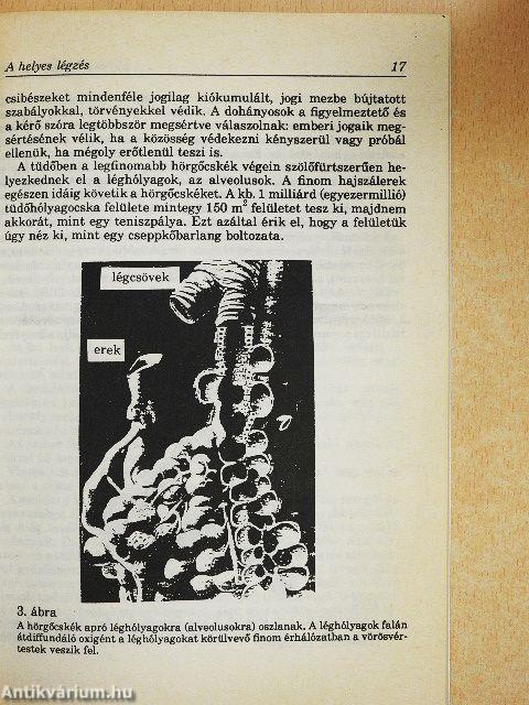 A légzés gyógyító hatása