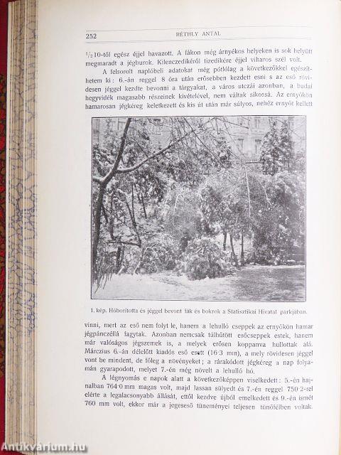 Természettudományi Közlöny 1915. (nem teljes évfolyam)