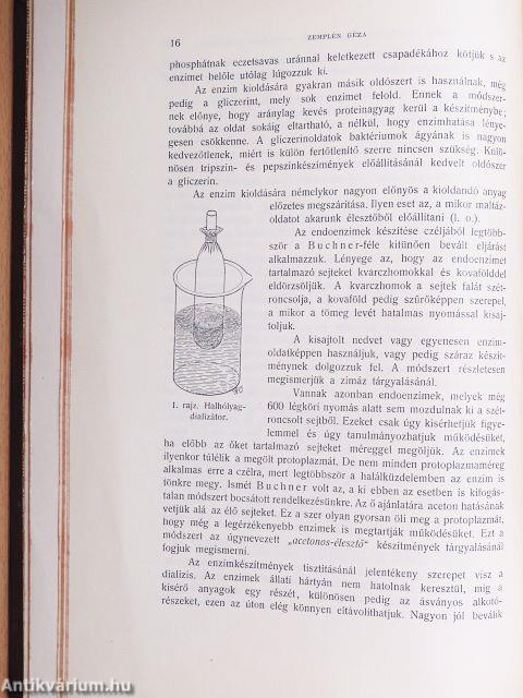 Az enzimek és gyakorlati alkalmazásuk