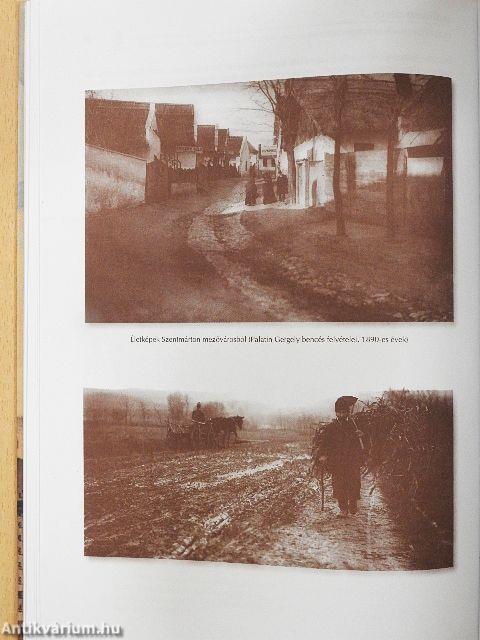 Monostori szőlő- és borgazdálkodás