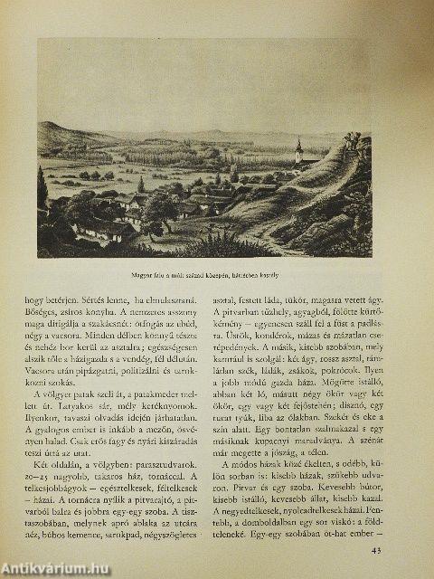 Forradalom és szabadságharc 1848-49