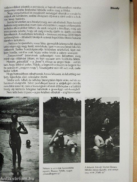 Vadászat négy földrészen