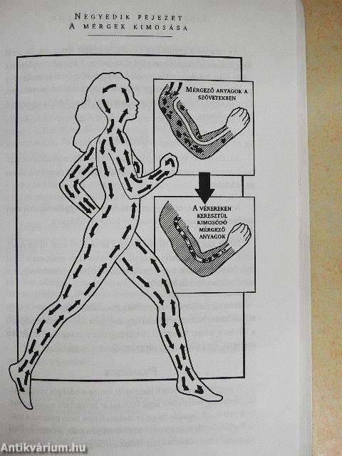 Tiszta test, tiszta elme