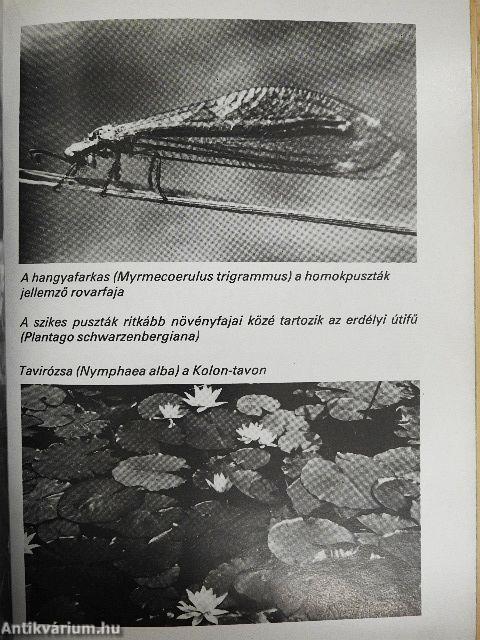 Kiskunságtól a Sárrétig