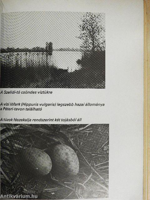 Kiskunságtól a Sárrétig