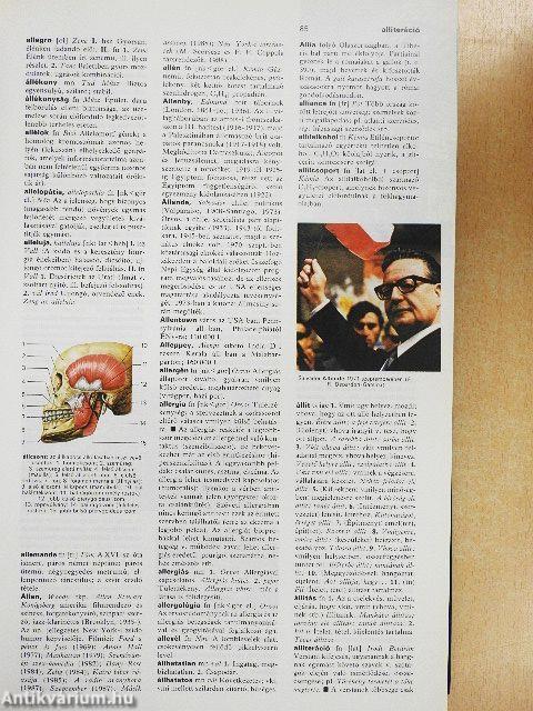 Magyar Larousse Enciklopédia 1-3.