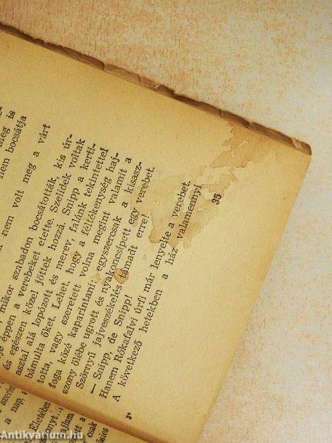 Snipp, a nagy vadász