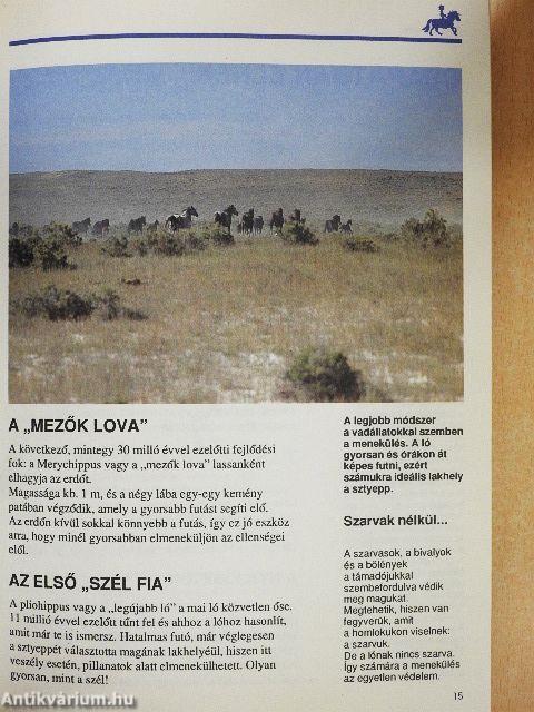 A lovak világa