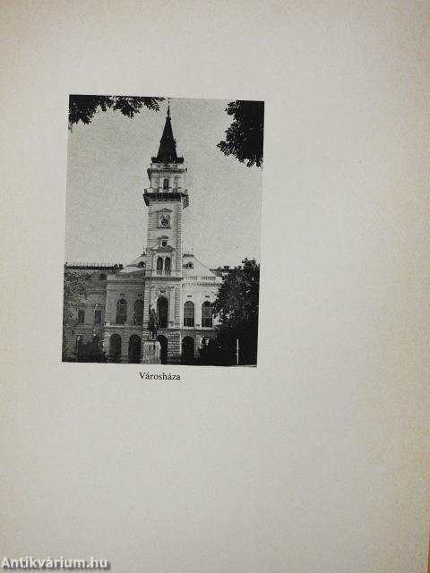 Vásárhelyi tanulmányok IV. 1944-1974 (dedikált példány)