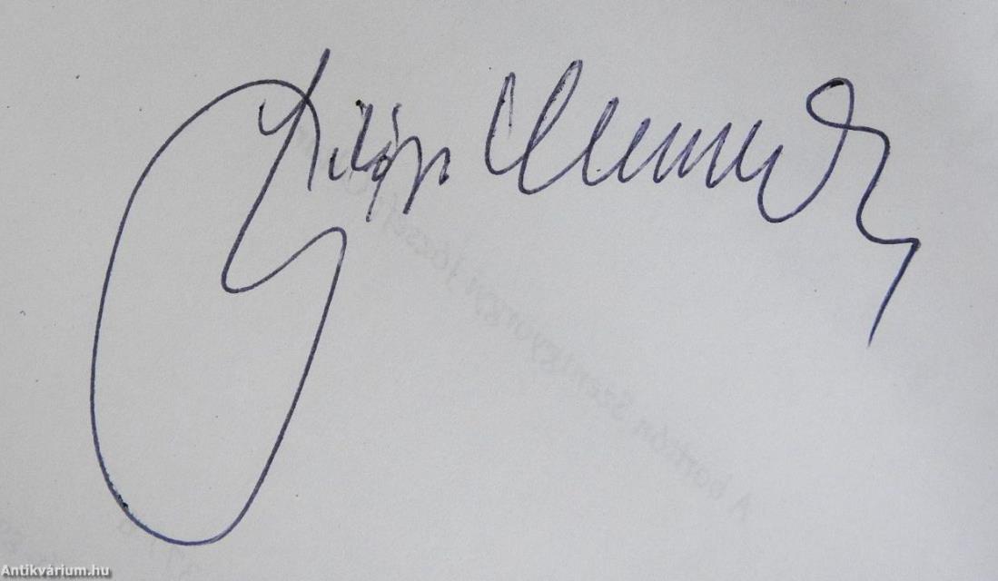 A képzőművészet szellemterében (aláírt és dedikált példány)