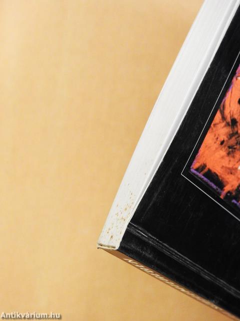 A képzőművészet szellemterében (aláírt és dedikált példány)