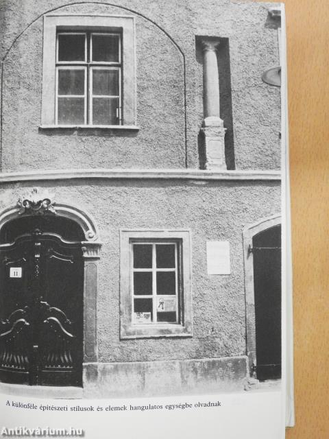 A nyugati kapu (dedikált példány)