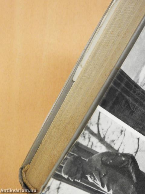 Károlyi Mihály (dedikált példány)