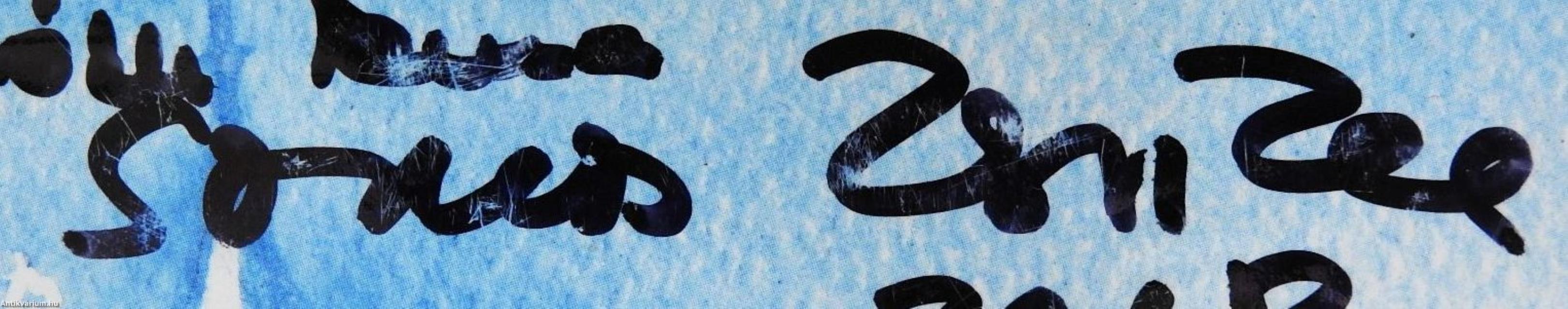 Különös karácsony (kétszeresen dedikált példány)