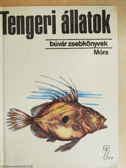 Tengeri állatok 2.