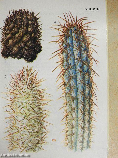 Különös növények