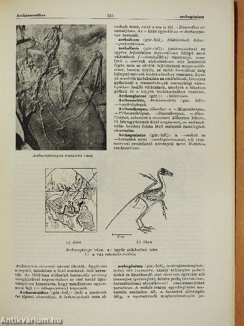 Természettudományi lexikon 1-7.