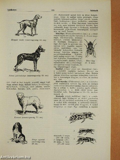 Természettudományi lexikon 1-7.