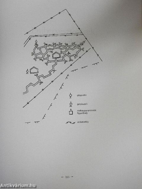 Háború, hadsereg, összeomlás