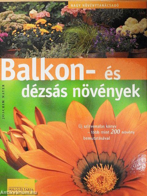Balkon- és dézsás növények