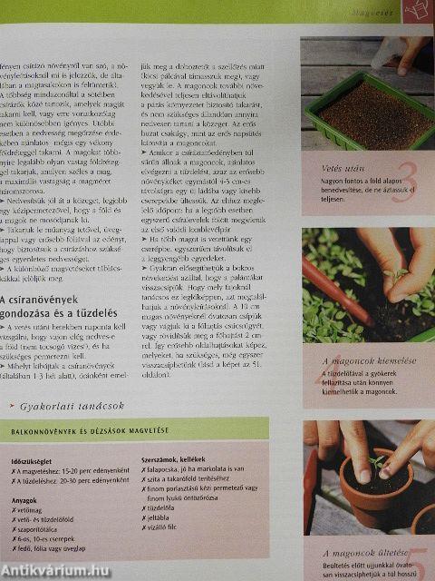 Balkon- és dézsás növények