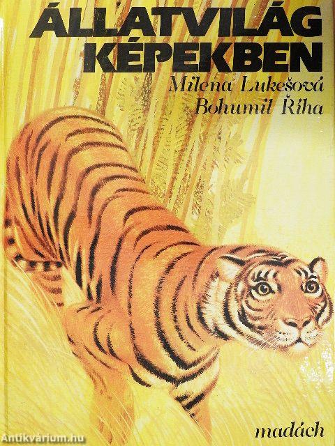 Állatvilág képekben