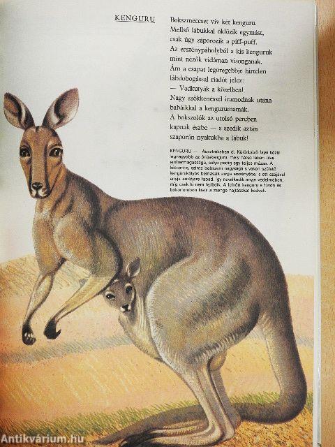 Állatvilág képekben