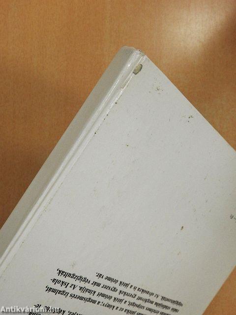 Nyelv, zene, matematika