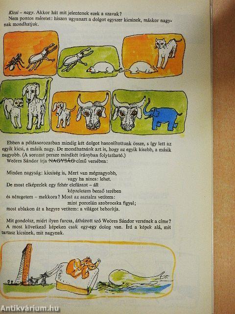 Nyelv, zene, matematika