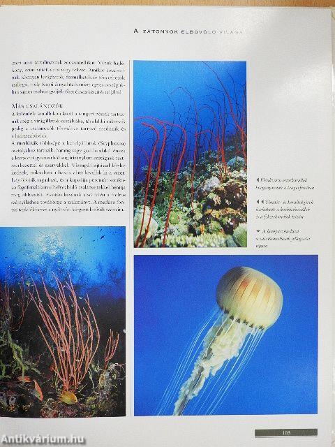 Búvárok kézikönyve