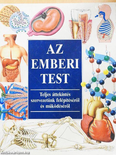 Az emberi test