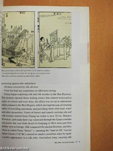 A Glimpse of the Chinese Culture