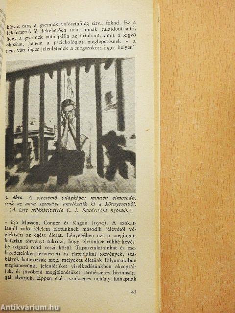 Félelem, harag, agresszió 